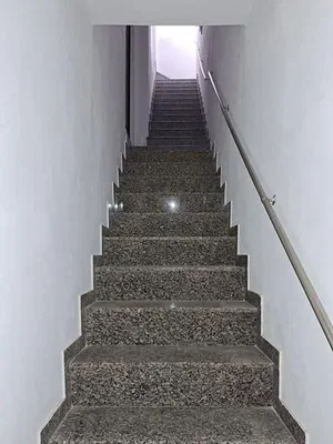 Diğer