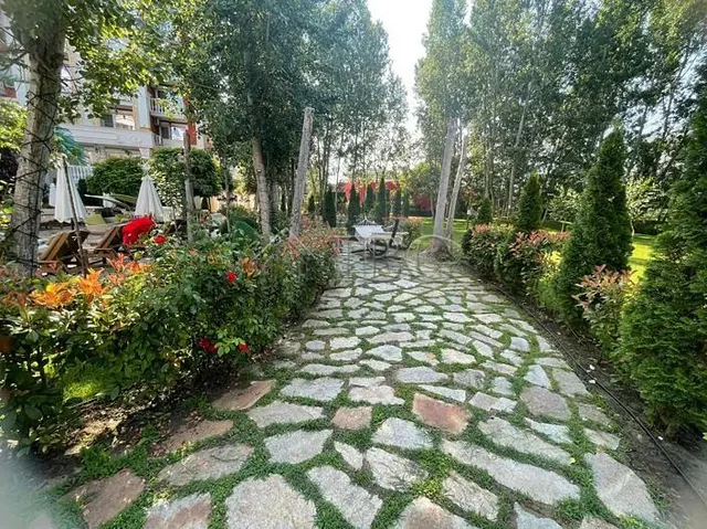 Diğer