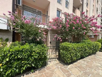 Diğer