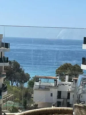 أخرى