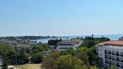 Diğer