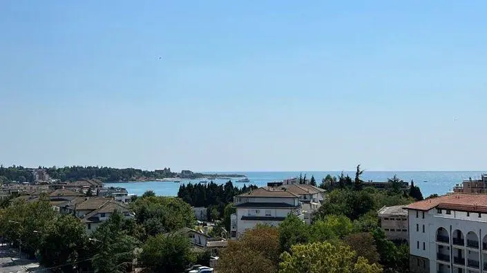 Diğer