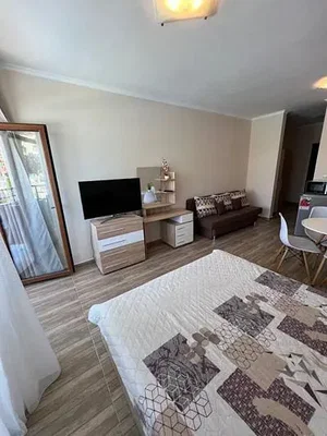 Diğer