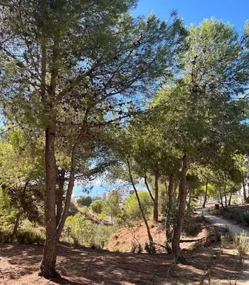 Άλλο