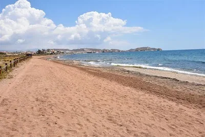 Diğer