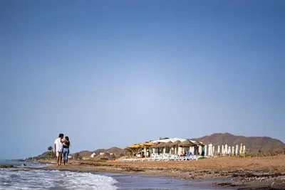 Diğer