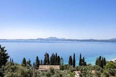 Diğer
