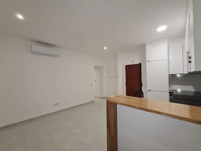 Diğer