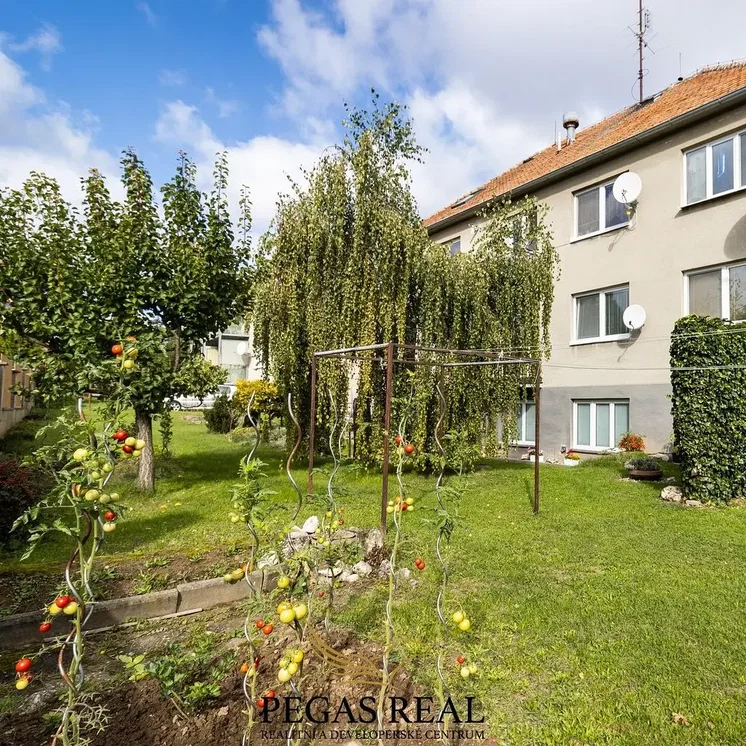 Other