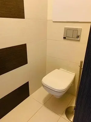 Diğer