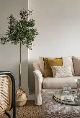 غرفة معيشة
