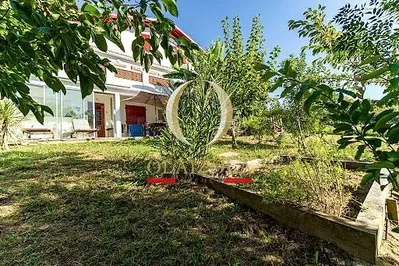 Σαλόνι