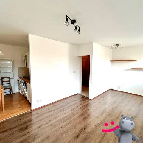 Ostatní