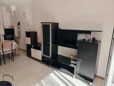 Diğer