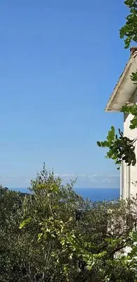 Остало