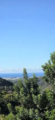Остало