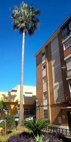 Άλλο