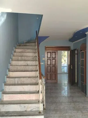 Diğer