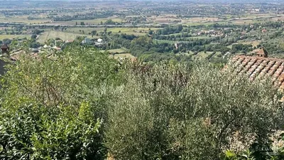 Sonstiges