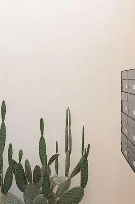 Outro