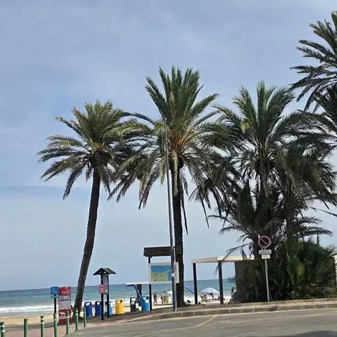 Остало