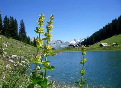 Sonstiges