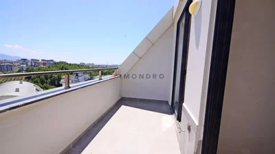 Άλλο