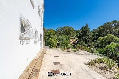 Σαλόνι