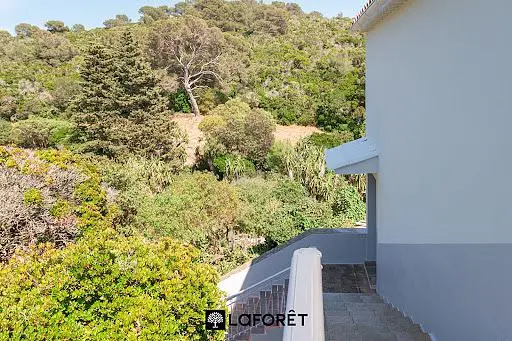 Σαλόνι