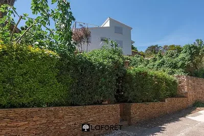 Σαλόνι