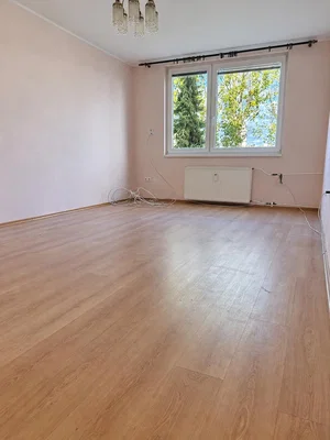 Ostatní