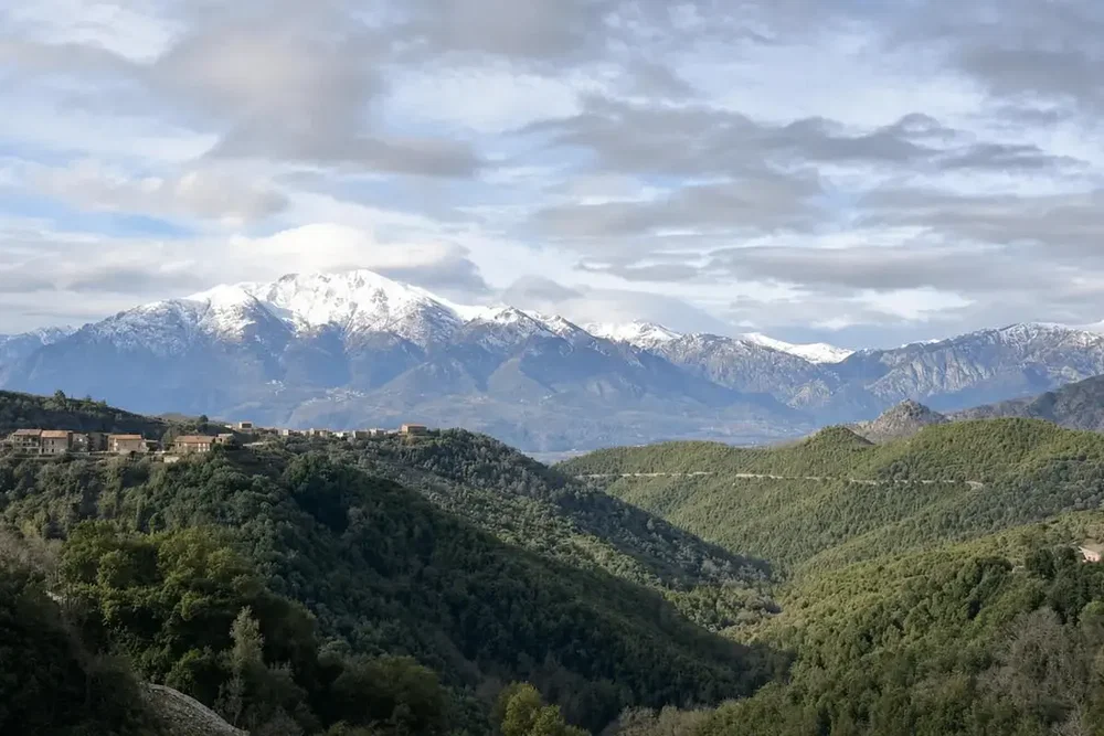Σαλόνι