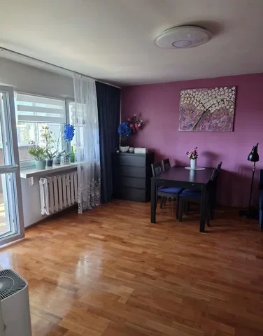 Diğer