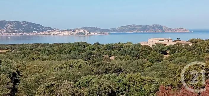 Άλλο
