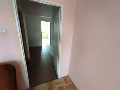 Ostatní