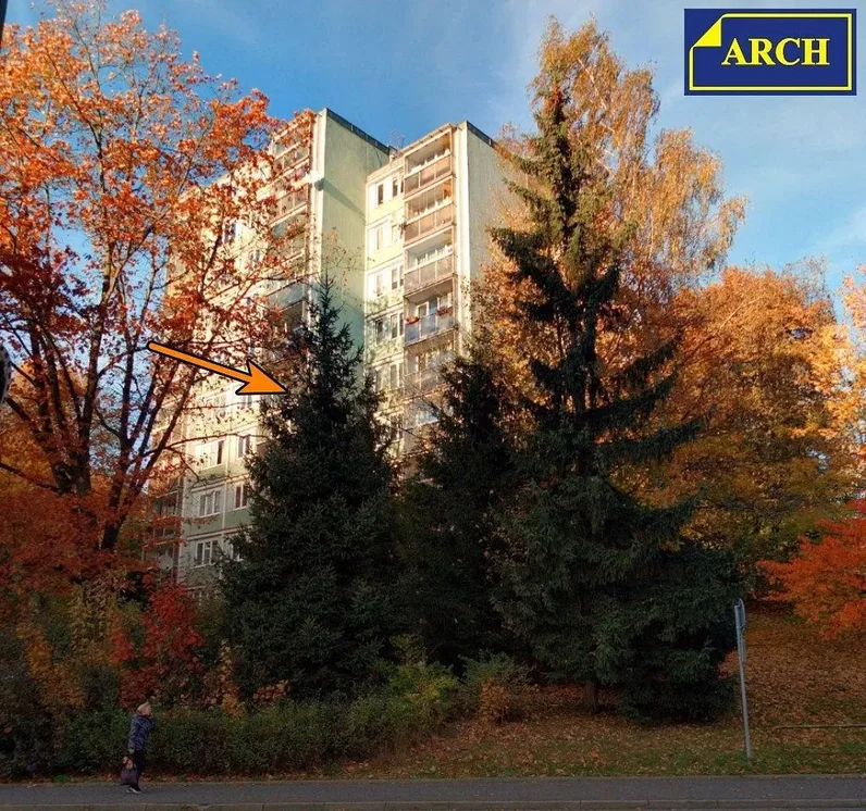 Остало