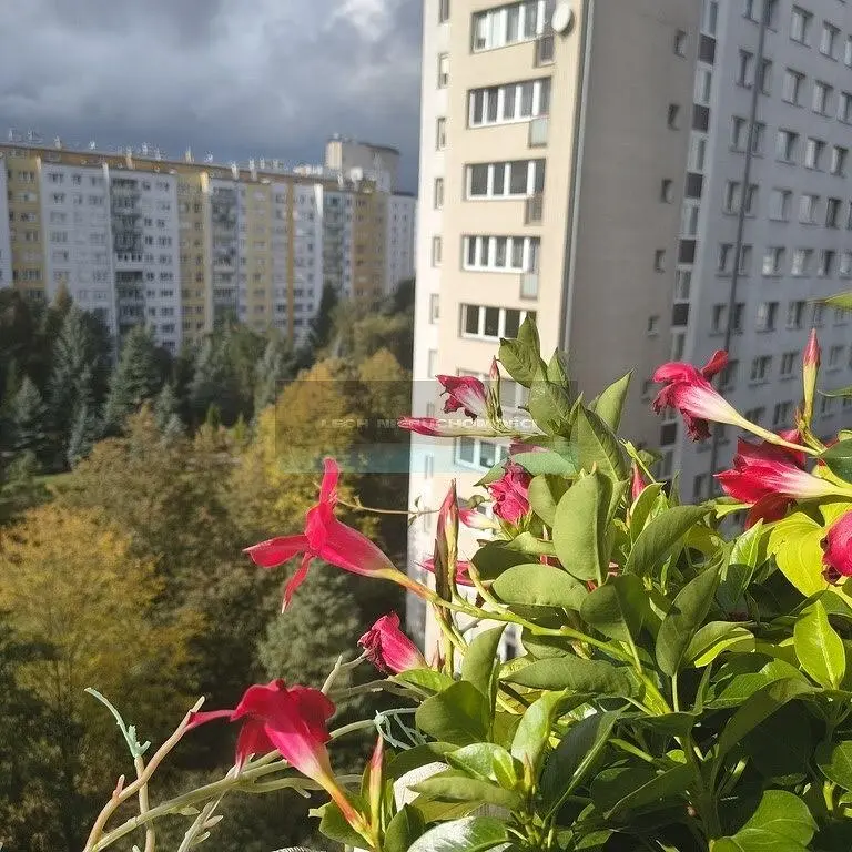 Ostatní