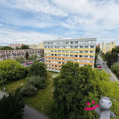 Ostatní