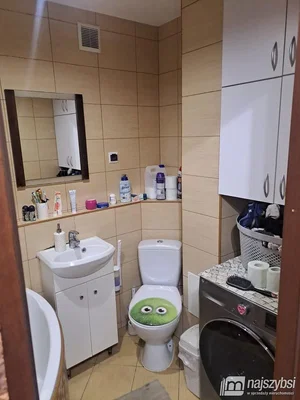 Остало