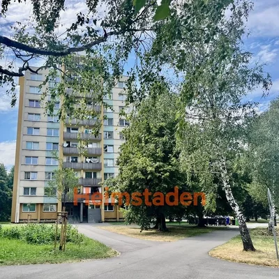 Diğer