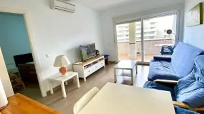 Diğer
