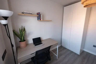 Diğer