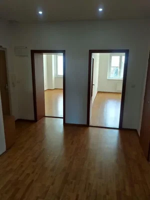 Diğer