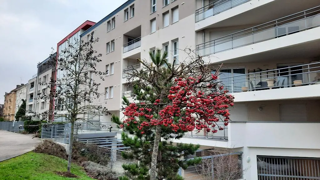 Dnevni boravak
