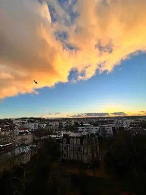 Σαλόνι