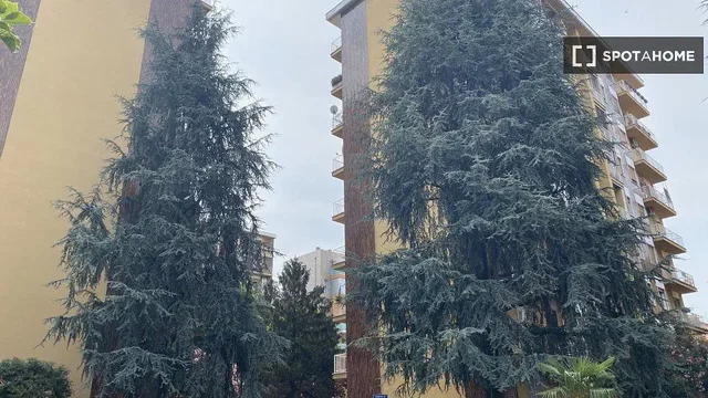 Soggiorno