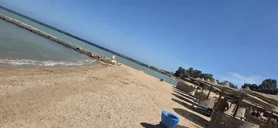 Diğer
