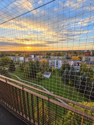 Ostatní