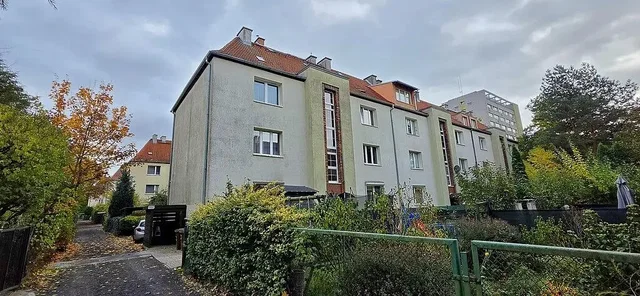 Diğer