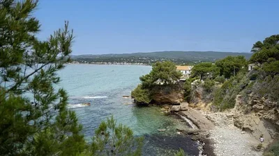 Diğer